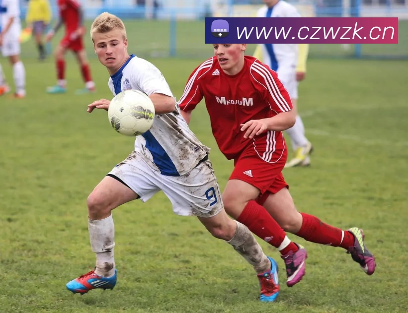 滚球官网app平台生态图